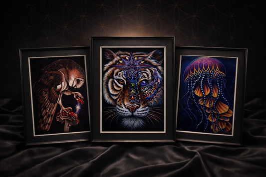 Collector Sets